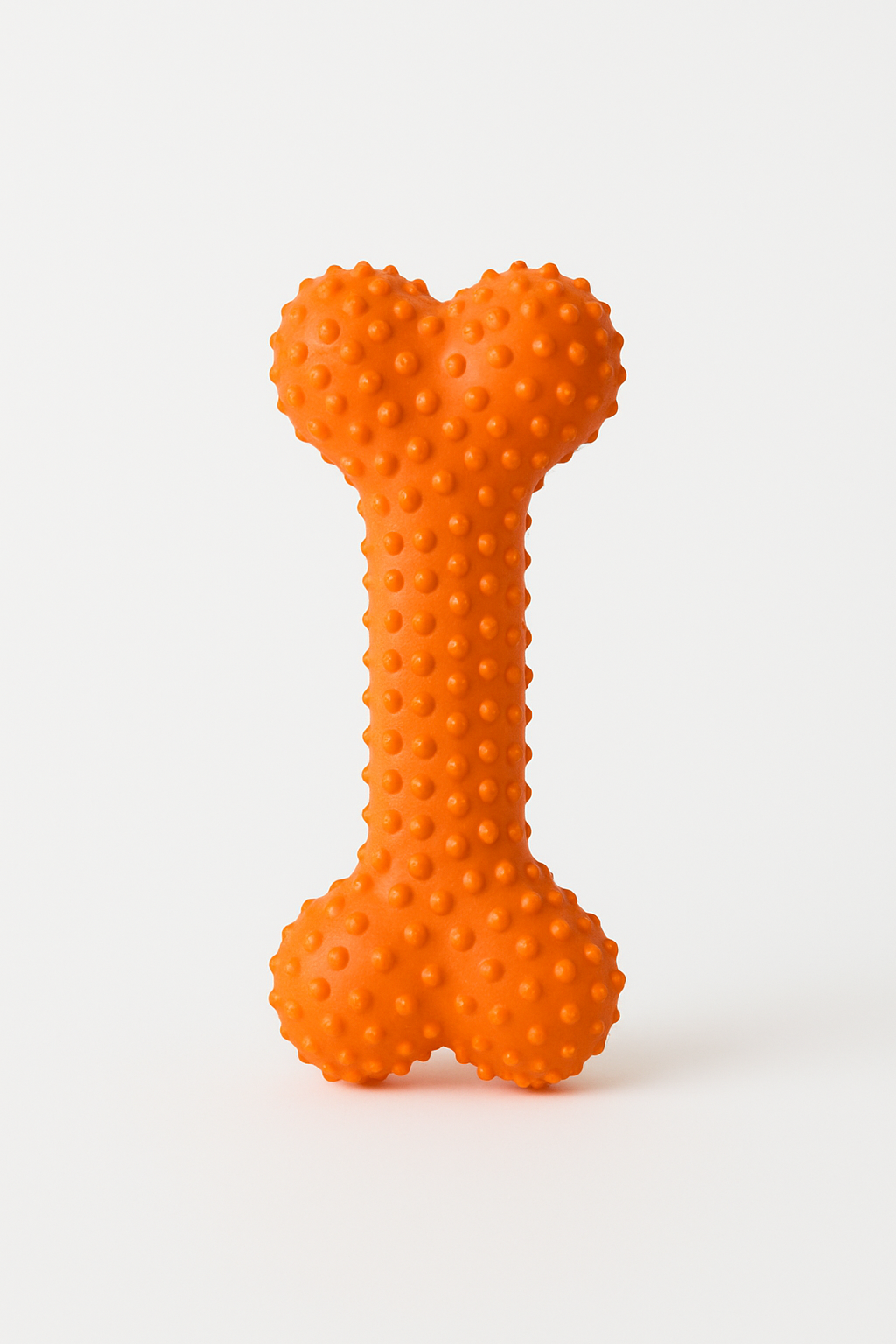 Dog Chew Toy